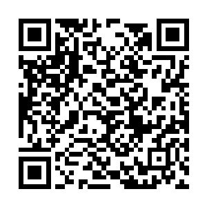 似乎连苍蝇飞上去都会打滑似的……脸型略显狭长二维码生成