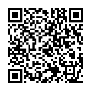 似乎那些帐篷里随时都会冒出一堆食不果腹的穷人孩子二维码生成