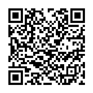 似乎都在要在那震荡之力下被震裂继而被粉碎一般二维码生成