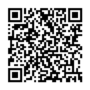 似乎都忘记了长风伯爵张太玄其实还有几个儿子二维码生成