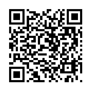 似乎都比在国内当房东收房租有档次二维码生成