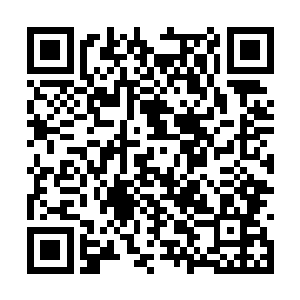 似乎随时要朝着那些敢对张铁龇牙的人扑过去一样二维码生成