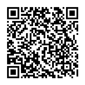 似乎隔着衣服的布料都能感觉到身体里的那个幼小的生命在一点一点的成长二维码生成