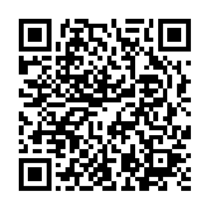 似乎预兆着这一次的谈话也应该是一个令人愉快的过程二维码生成