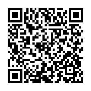 似乎饶有兴趣的看着瀑布飞溅的水花引起的彩虹二维码生成