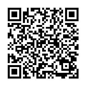 似在静静的感受着此血色幻灵结界的一切变化和威能强弱二维码生成