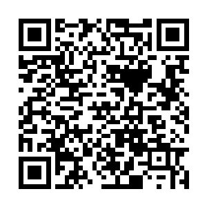 似硬生生在血泊中破血而出绽放出纤尘不染的莲花二维码生成