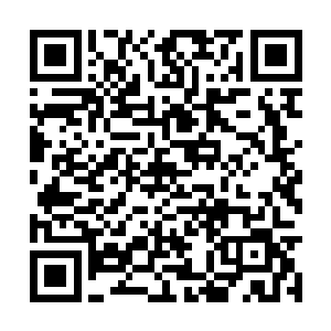 似笑非笑地看着仅及他肩膀的小丫头对他动手动脚二维码生成