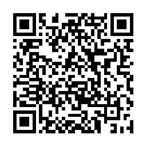似这般返老还童……这对于笑君主这等绝世强者来说二维码生成