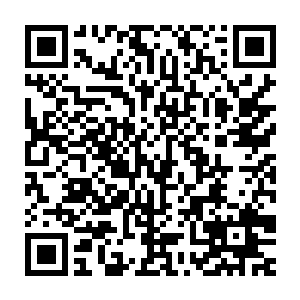 似雨若离和悲灵笑骨这四名首发队员无疑已成了赛事中的焦点人物二维码生成