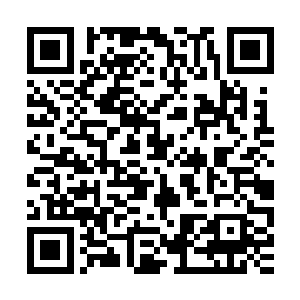 但――但那是无毒的――包括它的反应物r287号蛋白质也是――二维码生成