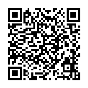 但……公子刚才所说的孩子明显不是君应怜或者苏夜月所出二维码生成