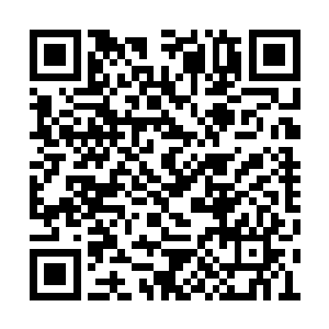 但……能超过天道的大道并非任何大道都能做到二维码生成