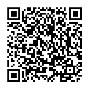 但……若是自己能够借助丹云级数的洗髓丹而制造出一大批的天才弟子……那么二维码生成