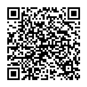 但一个三阶不到的小精灵想要收拾一名太古赤铜龙还是有点困难的吧二维码生成