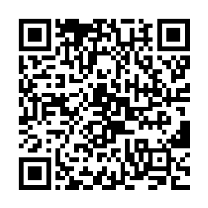 但一切动静到了这里似乎被一种神奇的力量给静止了二维码生成