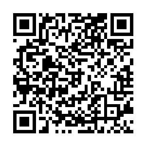 但一向神出鬼没的w1前中单兼队长诺风的ob位却是苦求不得二维码生成