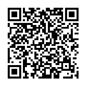 但一想起自己晋级所要耗费的巨额灵石和小肥羊那超级吃货二维码生成