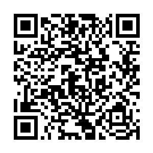 但一枚血丹至少能挽回她丈夫和女儿其中一人性命二维码生成