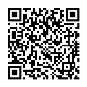 但万藏海却收买和威胁了所有的专家学者以及项目参与者二维码生成