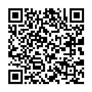 但上官烟岚最后还是凭借着那个虚假的身份成了庇护二维码生成