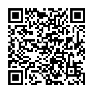 但上百台三米多高的钢铁巨人就像是海岸边上黑黢黢的礁石二维码生成