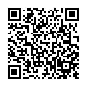 但下一刻秦宇的元神便是冲上去沐浴着天马阁阁主的血液二维码生成