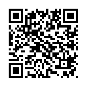 但不会检查联合国粮食计划署的车二维码生成