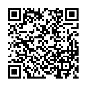 但不管天资如何聪慧也不可能将所有的东西都学完二维码生成