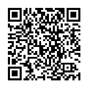 但不管抱着什么心思都跟他嘻嘻哈哈表现亲厚的皇子们二维码生成