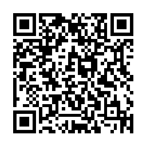 但不管是实力还是对天道领悟却比他们都要厉害不少二维码生成