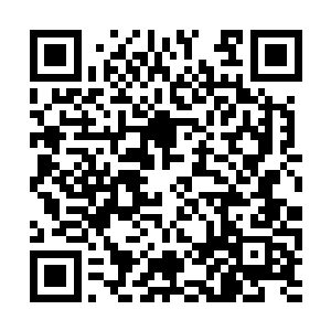 但与仙界到处动不动便是数千上万丈的山峰比起来二维码生成