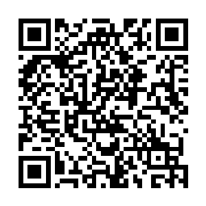 但与梵奇这种已经飞升的上古化神修士相比无法同日而语二维码生成