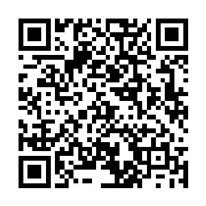 但东泽还是很快回忆着将当时的情况再重复了一遍二维码生成