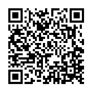 但中途行进经过的长街仍旧能够观看这场仪式的进行二维码生成