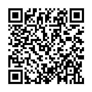 但为了自己的安全还是一口一个巧儿姐姐的叫着二维码生成