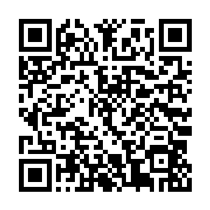 但为什么电视台对这种比惨的模式如此乐此不疲二维码生成