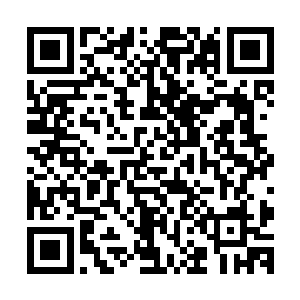 但主裁判做出的判罚确定和托特纳姆热刺球迷们所预想的不同二维码生成