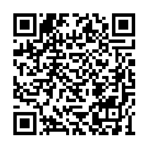但之前的一场大战羽可是为他们加持过嗜血术的二维码生成