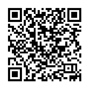 但之前那个生命之子就成了他们人面鲲鹏族某只的伴侣二维码生成