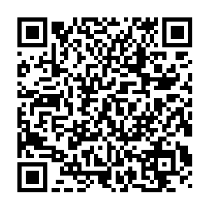 但之真正的威力有多大却是难以估计的之……哪怕是以我圣兽的实力二维码生成