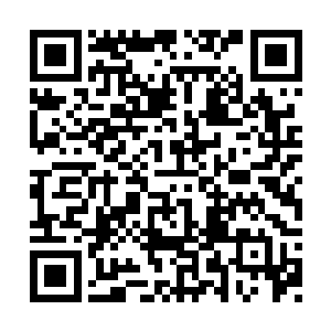 但乌玛却怎么都觉得自己是搬起石头砸自己的脚二维码生成