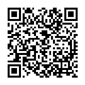 但也不代表对方是不是故意用半个月的时间来迷惑我二维码生成