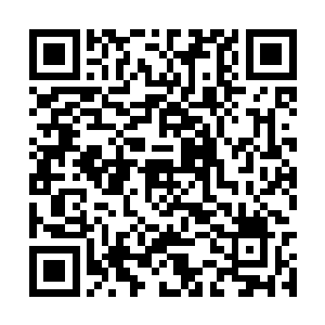 但也不免心动――这孩子在家里关着时间也够久了二维码生成