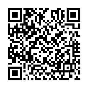 但也不排除个别晓事人被送给成年主子以供其消遣二维码生成