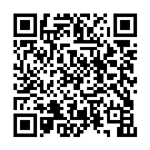 但也不知道是战队本性使然还是这些人太过耿直二维码生成