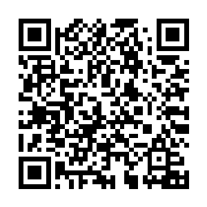 但也不至于让那些凡人在过了四千多年了还记挂着你吧二维码生成