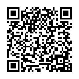 但也仅限于他们兄弟俩和跟在他们身后的两个暗卫二维码生成