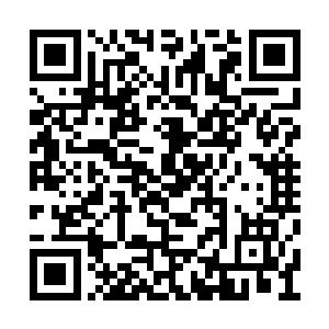 但也从师父独孤大师那里得到过一些相关的经验二维码生成