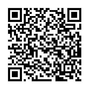 但也只是在给苏丛盛端茶送水的时候打过一个照面二维码生成